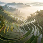 Bali Luxury Holidays: A Complete Travel Guide for UK Travellers